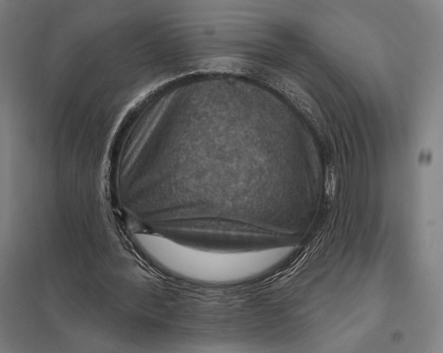 X0000097750388200803281615