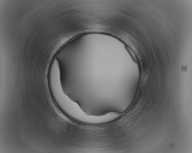 X0000097750389200803281615