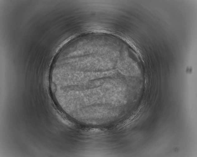 X0000097750390200803281615