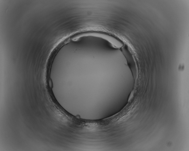 X0000097750391200803281615