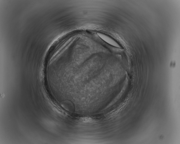 X0000097750392200803281615