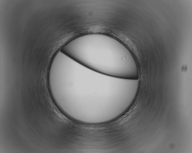 X0000097750393200803281615