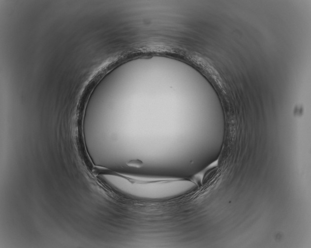 X0000097750395200803281615