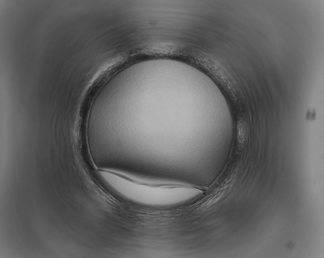 X0000097750396200803281615