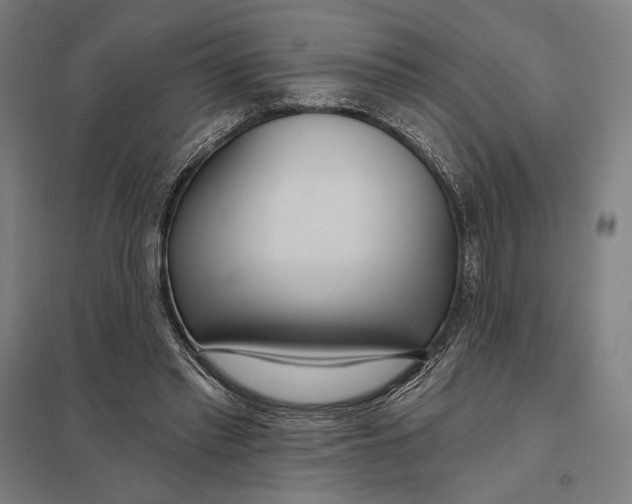 X0000097750397200803281615