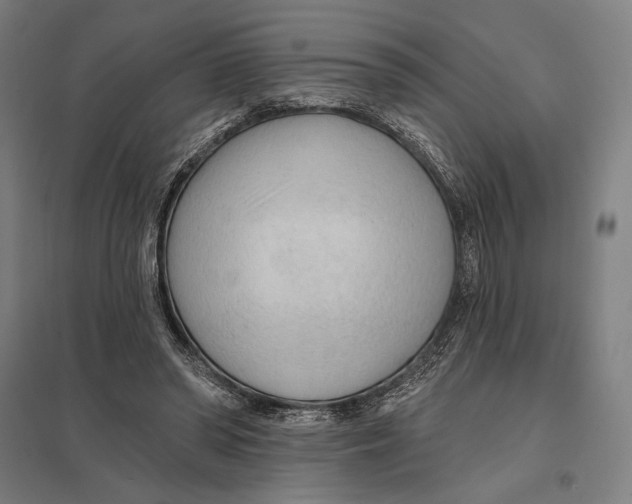 X0000097750398200803281615