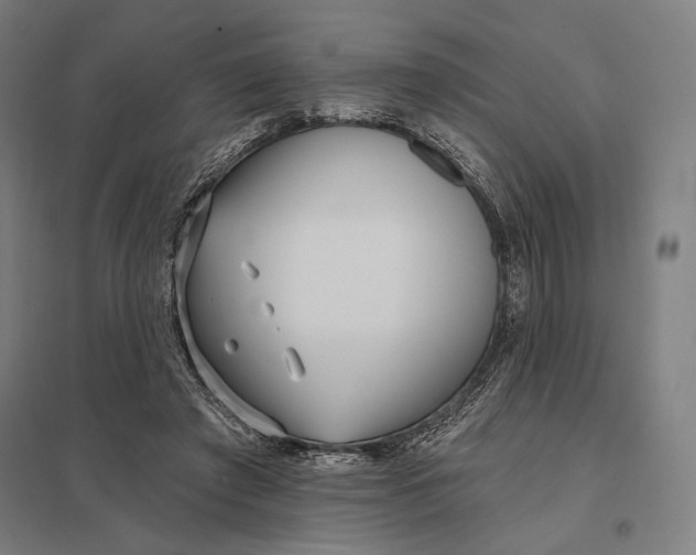 X0000097750401200803281615