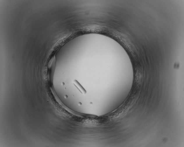 X0000097750403200803281615