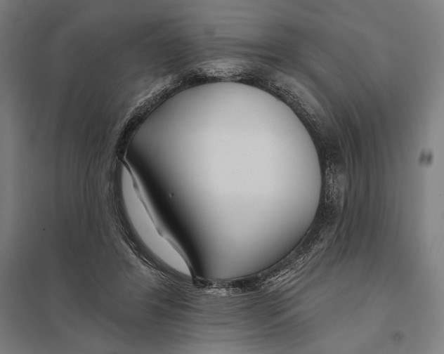 X0000097750404200803281615