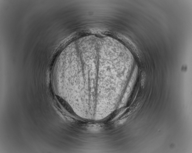 X0000097750405200803281615