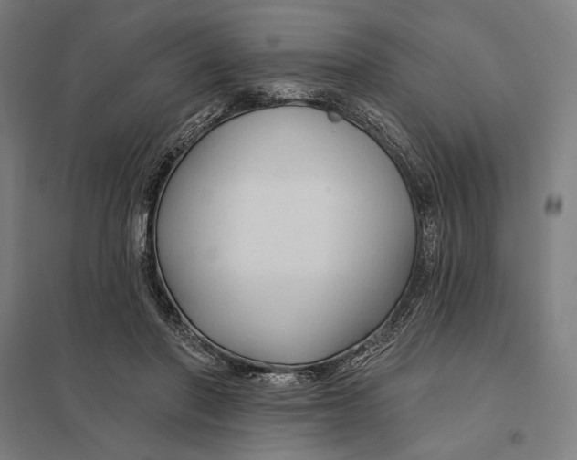 X0000097750406200803281615