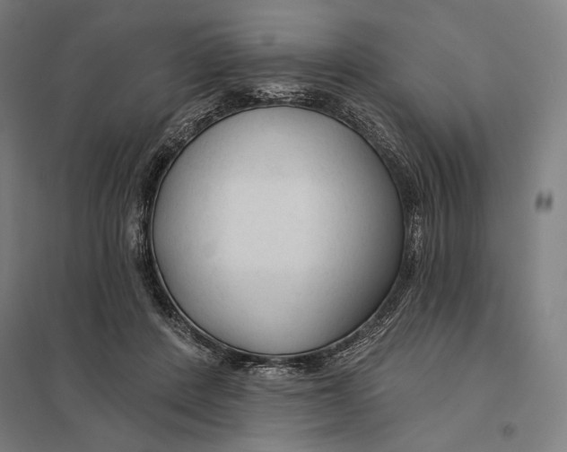 X0000097750408200803281615