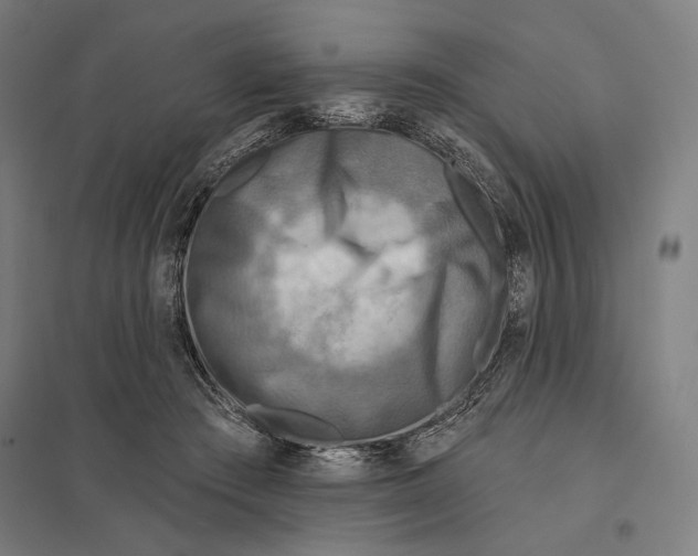 X0000097750409200803281615