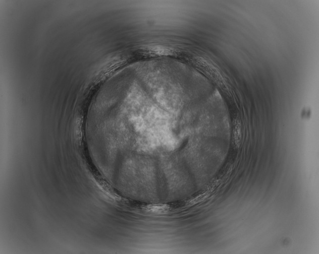 X0000097750410200803281615