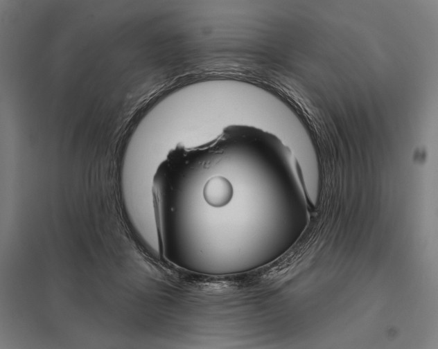 X0000097750411200803281615