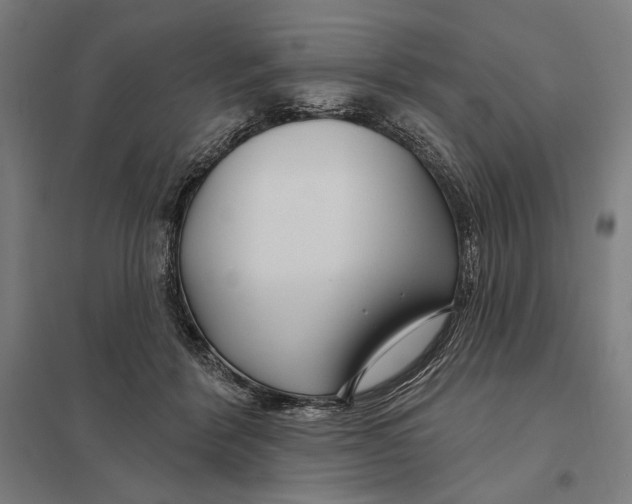 X0000097750412200803281615