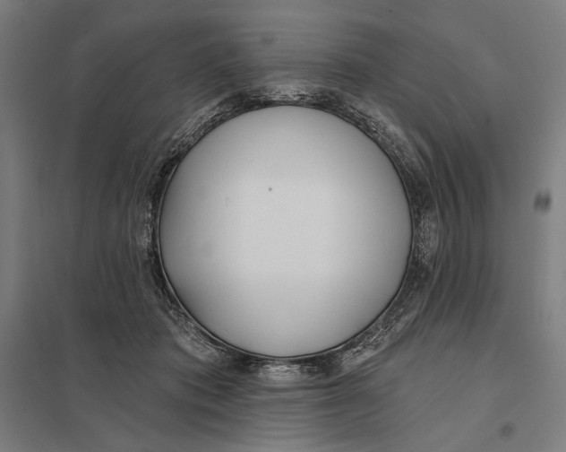 X0000097750413200803281615