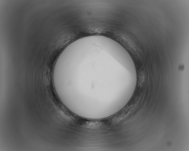 X0000097750414200803281615