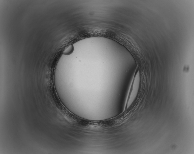 X0000097750416200803281615