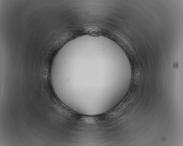 X0000097750417200803281615