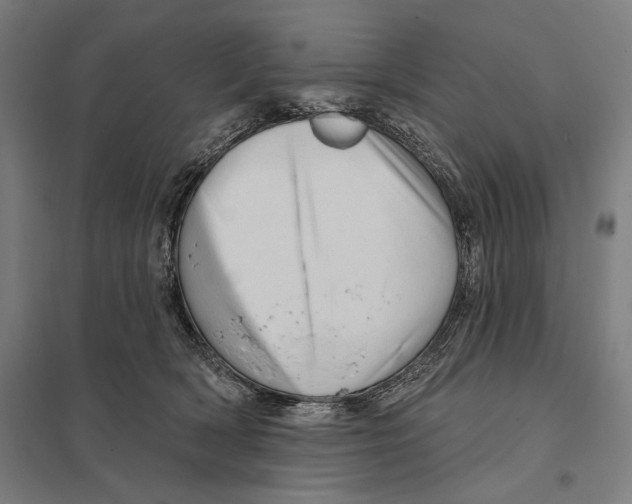 X0000097750418200803281615