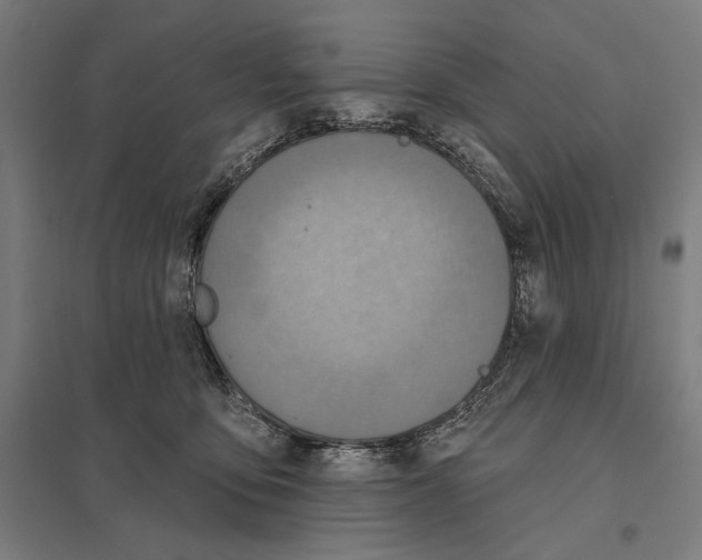 X0000097750419200803281615