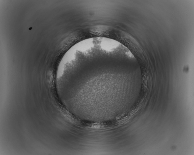 X0000097750420200803281614