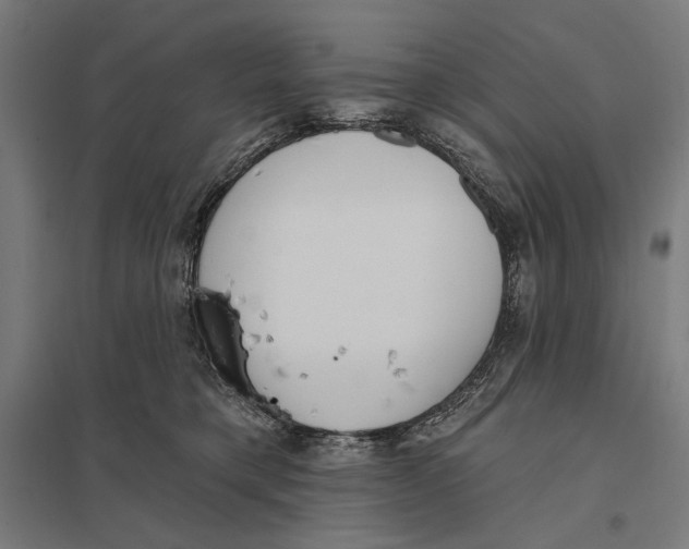 X0000097750421200803281614