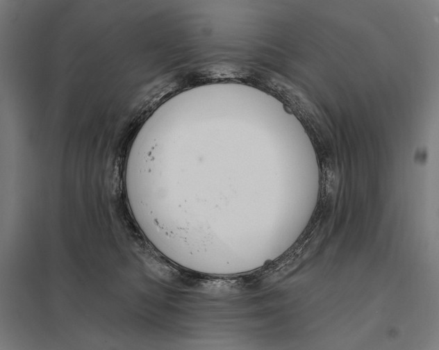 X0000097750422200803281614