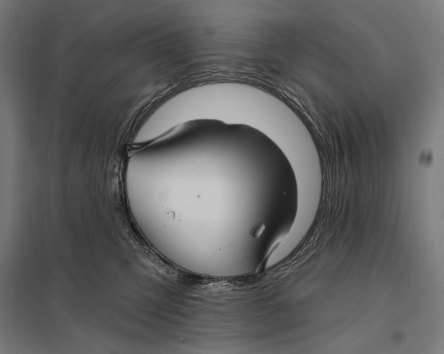 X0000097750423200803281614