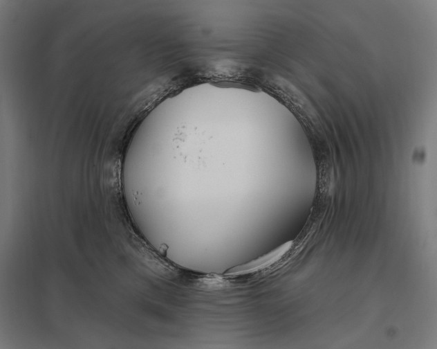 X0000097750425200803281614