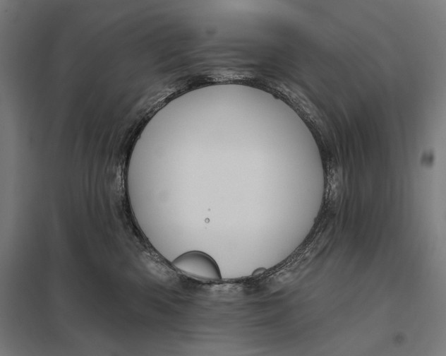 X0000097750426200803281614