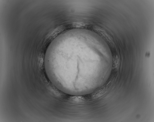 X0000097750427200803281614