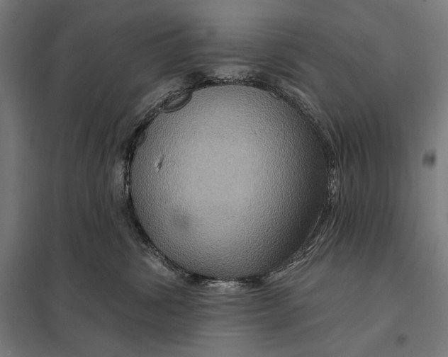 X0000097750428200803281614