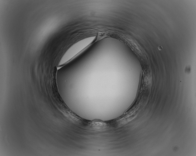 X0000097750429200803281614