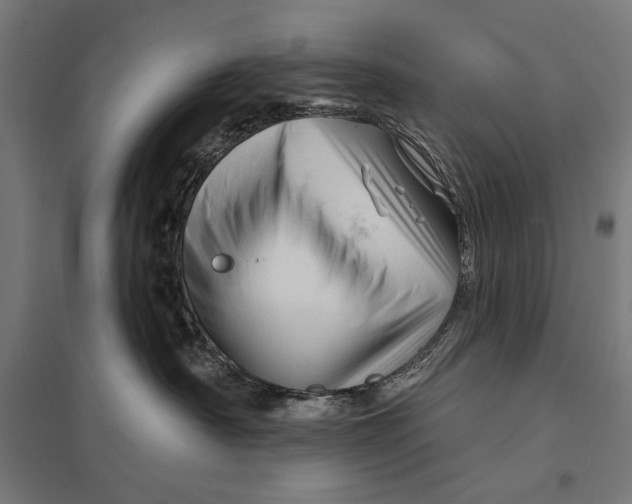 X0000097750430200803281614