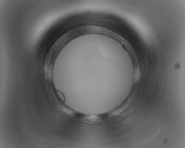 X0000097750431200803281614