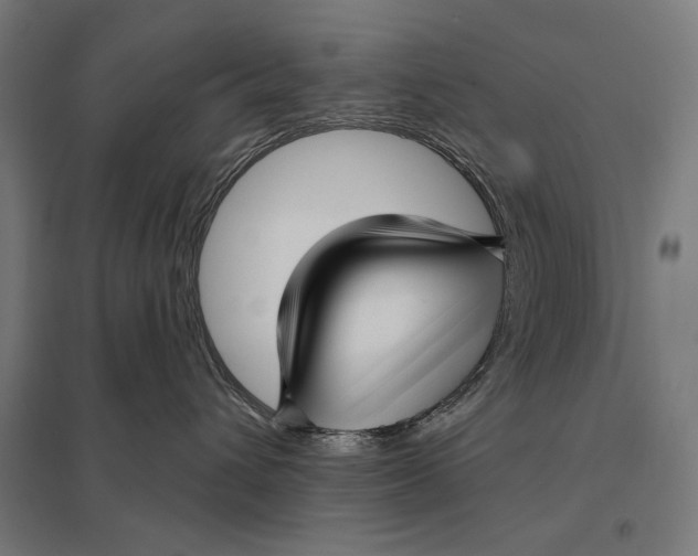 X0000097750432200803281614