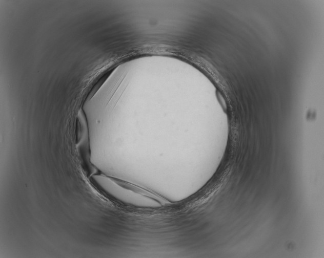 X0000097750433200803281614