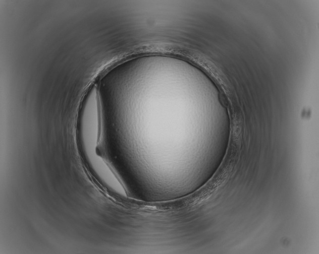 X0000097750434200803281614