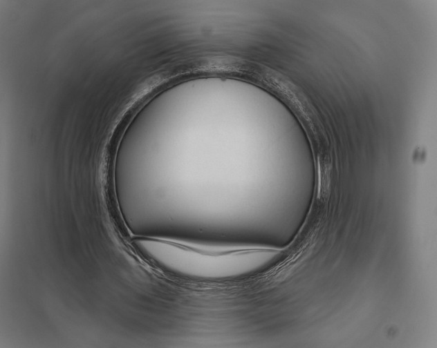 X0000097750435200803281614