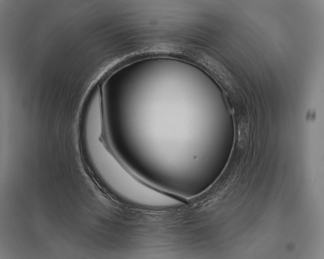 X0000097750436200803281614