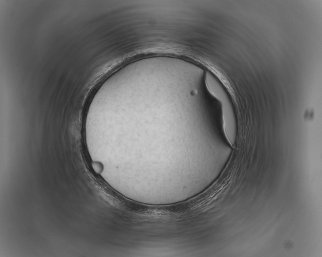 X0000097750437200803281614