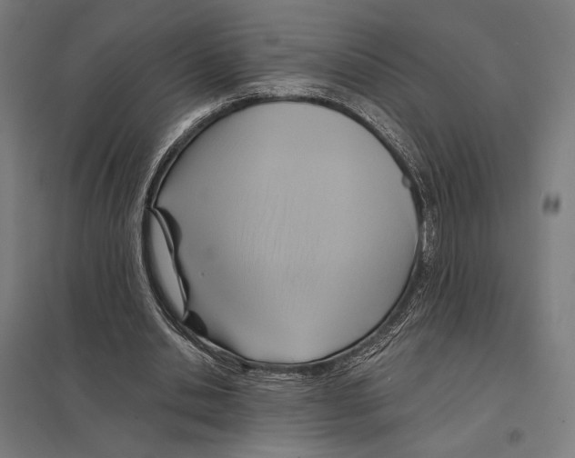 X0000097750438200803281614