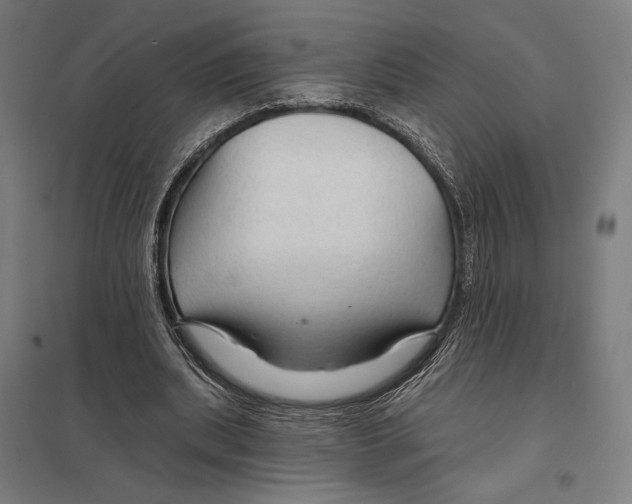 X0000097750439200803281614