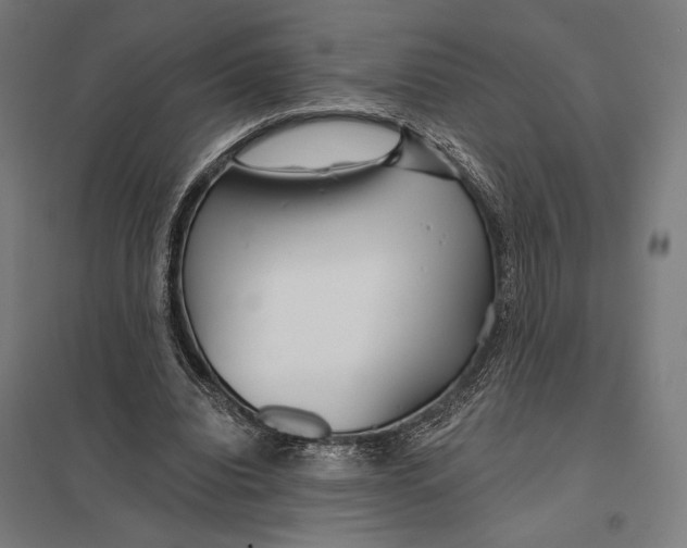 X0000097750440200803281614