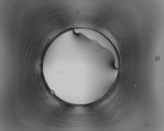 X0000097750441200803281614