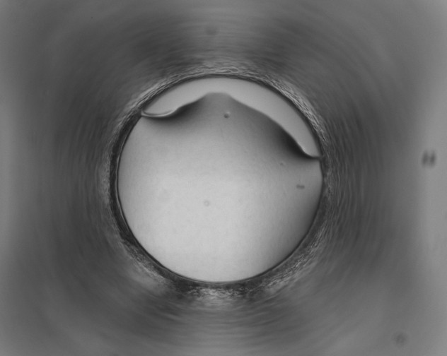 X0000097750442200803281614