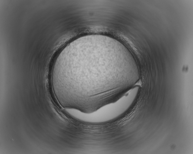 X0000097750443200803281614