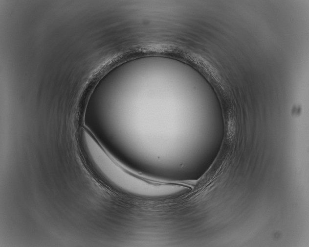 X0000097750444200803281614